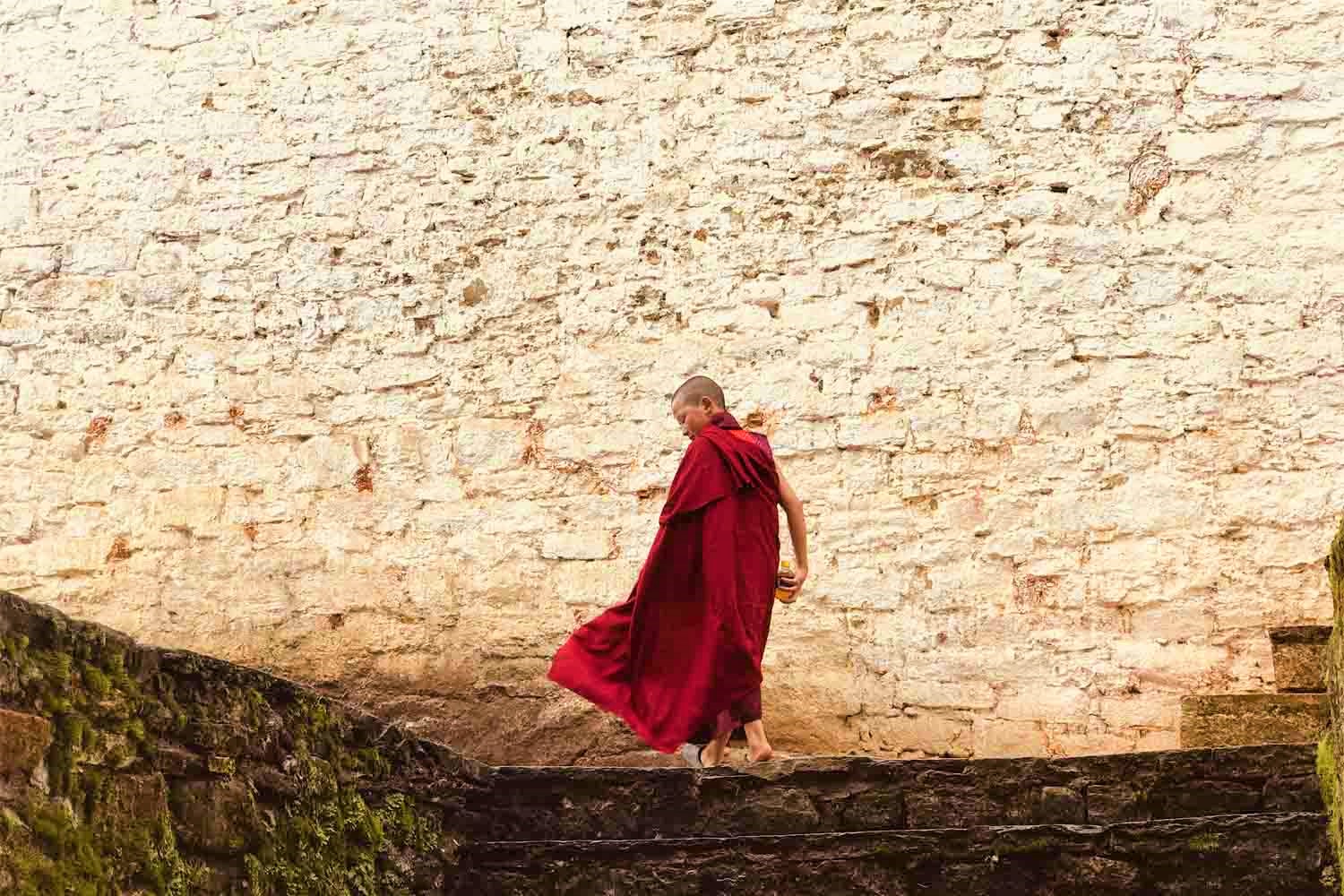 young Monk at Gasa Dzong